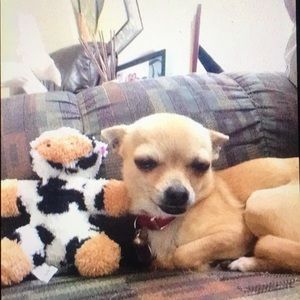 Meet your Posher, Spencer